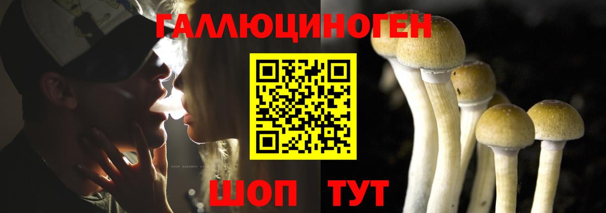Галлюциногенные грибы мухоморы  Псилоцибиновые грибы мухоморы  Сорочинск  Вход с VPN 